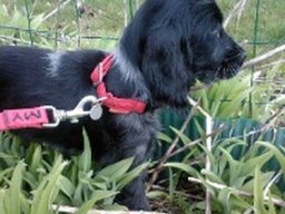 ella_1_20211130_1238579580
